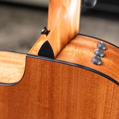 Taylor 114ce Grand Auditorium Acoustic-Electric Guitar with Structured Gig Bag image 9