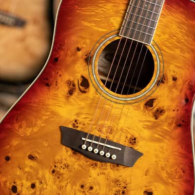 Washburn DFBDA Deep Forest Burl Collection Dreadnought Acoustic Guitar-Amber Fade Gloss image 10