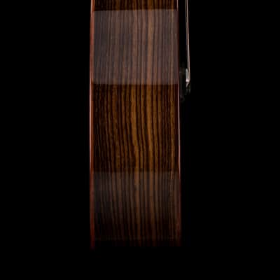 Taylor Custom GA Rosewood/Adirondack Spruce - Midnight Burst #74119 image 6