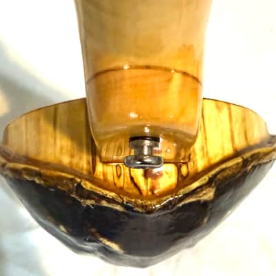 Turtle Shell Tenor Ukulele image 9