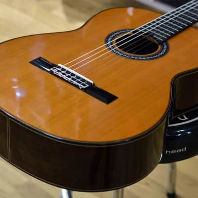 Cordoba Luthier C10 Cedar All Solid Nylon Guitar & Case image 8