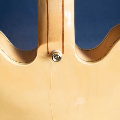 2025 Epiphone Sheraton II image 6