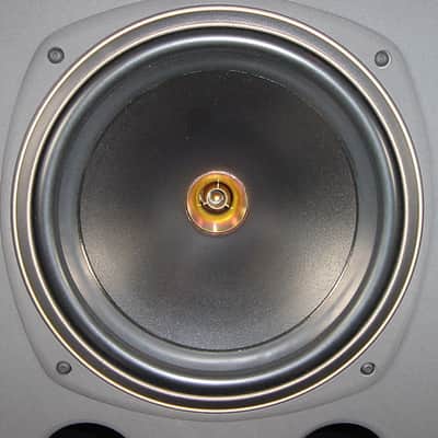 Tannoy System 10 DMT (Pair)- Large passive monitors! image 3