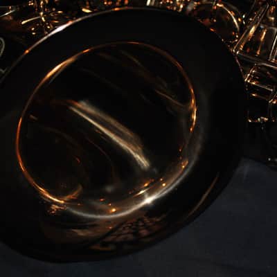 Chateau CAS-50CBC Intermediate Alto - New image 6