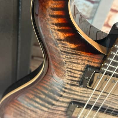 PRS WL-Modell Custom 24 Charcoal Tri-Colour Burst - 10 Top- Stained Neck- Cocobolo FB - 58/15+ TCI 2 pcs Worldwide image 3