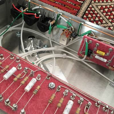 Trinity TripTop (Ampeg B-15 Clone) image 13