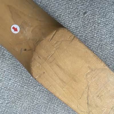 ESP LTD 4 String Electric Bass Maple Neck, Rosewood 24 Frets Fingerboard image 9