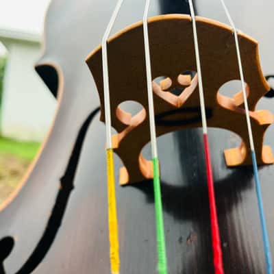 Immagine Giuseppe Petrazzini Cello 1890's Italian Labeled - 6