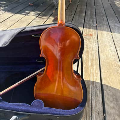 Fiddleheads violins VN100L 2022 - Gloss image 4