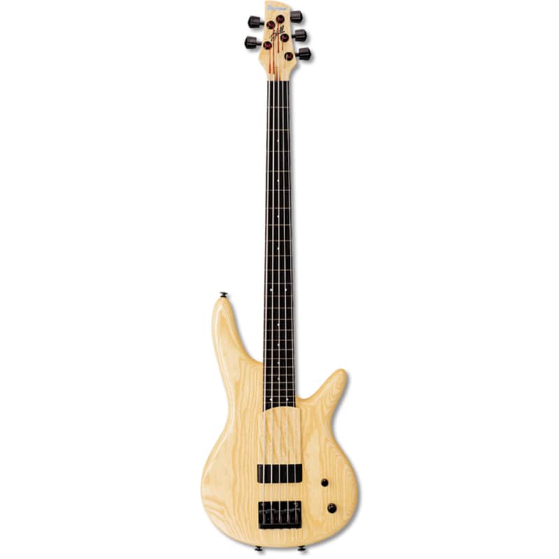 Ibanez GWB1 Gary Willis Signature Soundgear Fretless image 1