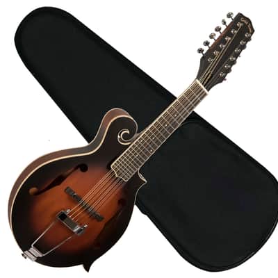 GOLD TONE F-12 F-style 12-string acoustic electric mandolin GUITAR new w/ CASE image 1