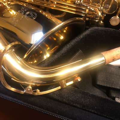 Apollo AAS 23 Student Alto Saxophone - Gold Lacquer image 3