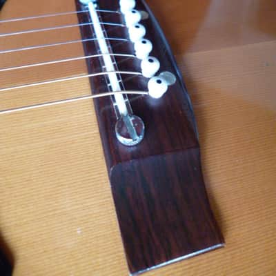 Immagine Ensenada  wg 66 Dreadnaught folk 1970 natural - 10