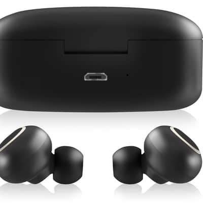 Tannoy LIFE BUDS Audiophile Wireless Earbuds with Immersive Single Point Source Audio life-buds image 5
