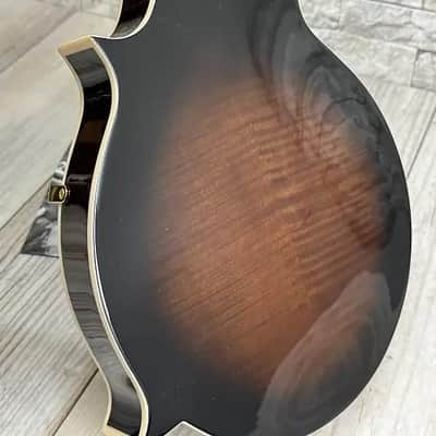 Ibanez #M522S-DVS -  F-style Mandolin, Dark Violin Sunburst High Gloss image 6
