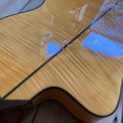 Cordoba 55FCE Thinline Electro Classical Acoustic Guitar Made in Spain 2006 image 13