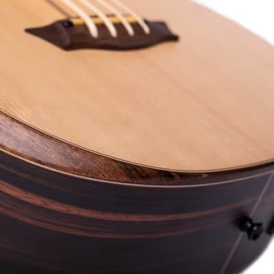 Washburn WCBM15SEK Mini Comfort Bass Natural Matte w/Gigbag image 6
