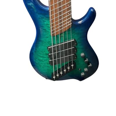 Dingwall Combustion 6 (3 Pickup-Whalepool, image 3