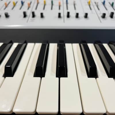 Korg ARP Odyssey FS Rev1 37-Key Duophonic Analog Synthesizer 2017 - Present - White/Black image 3