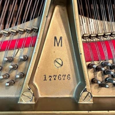 Historic Acoustic Magic: Classic Steinway M image 5