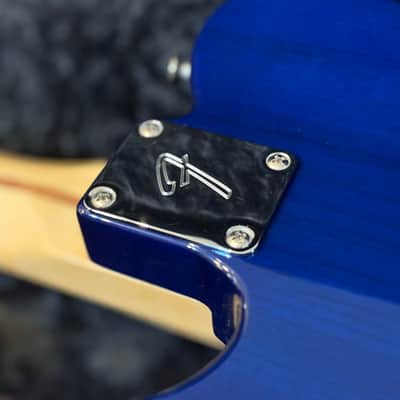 Fender Player Telecaster Plus Top 2019 - Blue Burst image 5