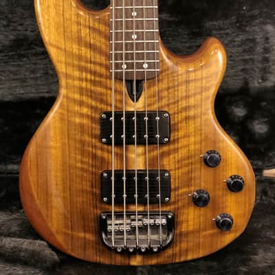 Wal Mk2  5 String Bass Guitar 1990 Schedua w Original Wal Hard Case image 1