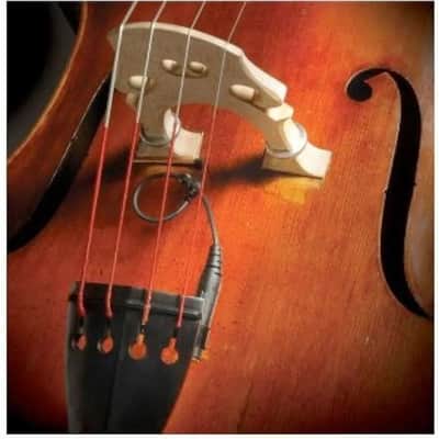 Realist RLSTSWB1 | WoodTone Bass Pickup. New with Full Warranty! image 2