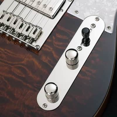Michael Kelly MK55EDTPRO Enlightened 55 Dark Tiger's Eye Electric Guitar image 3