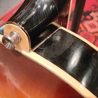 Hofner Club 50 1960s Sunburst image 10
