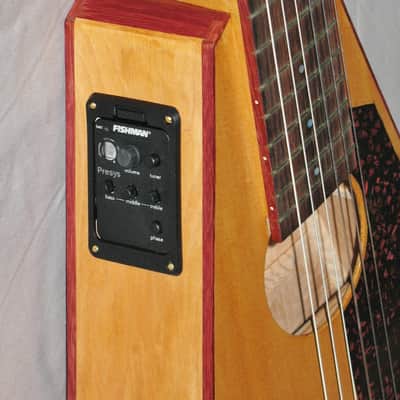 Handmade Crossover Classical Guitar, Flying V, + Pickup & Gigbag image 11