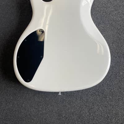 Peavey Foundation 1987 - White image 5