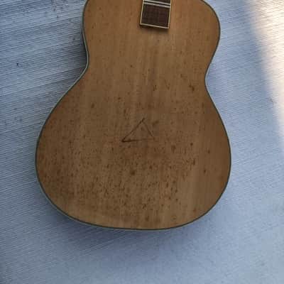 Spruce Top Resonator Guitar DIY Project, Rosewood Fretboard Neck image 1