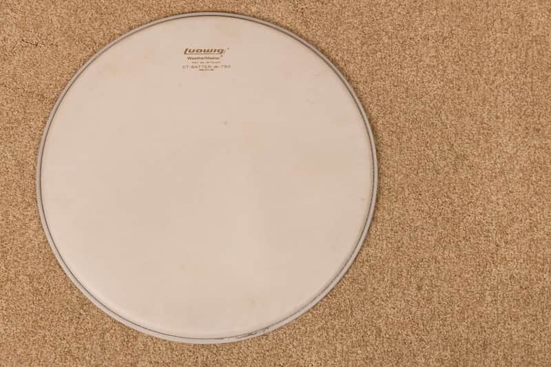 Vintage 16" Ludwig DB-750 "Gold Logo" Coated Floor Tom Head image 1