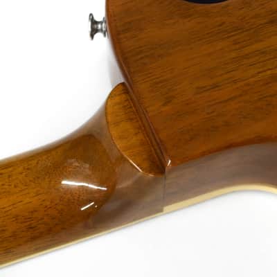 Gibson Les Paul Standard '50s Double Trouble - Vintage Tobacco Burst image 10