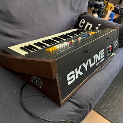 Skyline FortyNine P49 Synth String Drum – Ultra-Rare & SERVICED + hard case image 8