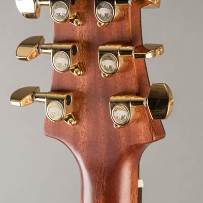 Baldacci Bighorn Hollowbody 2020, Sunburst image 9