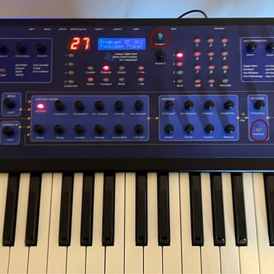 Dave Smith Instruments Poly Evolver 61-Key 4-Voice Polyphonic Synthesizer 2005 - 2011 - Blue with Wood Sides Bild 6