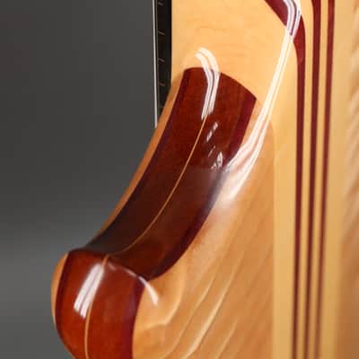 Alembic Series  II Five String Fretless Active Bass image 8