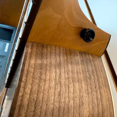 Taylor Academy 22e Acoustic Electric Walnut Top Back & Sides with Gig Bag - Pre Owned image 6
