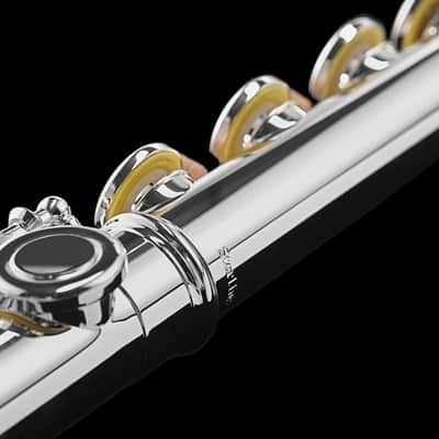 Mint Open Box Di Zhao DZ 701BEF Flute, Solid Sterling Silver Head, Body & Low B Foot, Offset G, Split E; with Case image 3