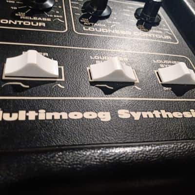 Moog Multimoog 1978 - 1981 - Black image 5