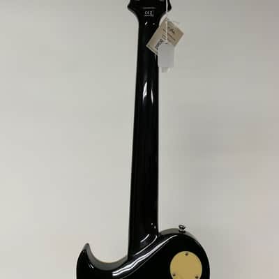 Aria Pro II PE 350 2025 - Aged Black image 10