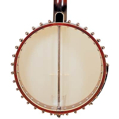 Gold Tone CEB-5 5-String Cello Banjo w/ Case imagen 2