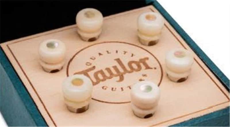 Taylor Water Buffalo Horn Bone Bridge Pin Kit-Bone White w/Awabi Shell image 1