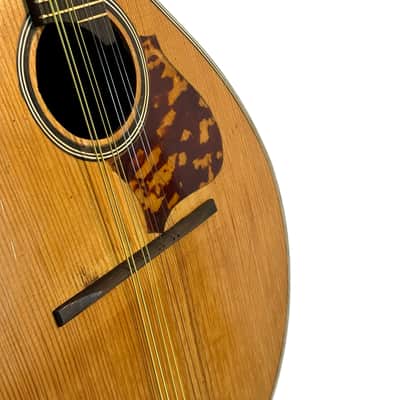Antoine Di Mauro Flat Back Mandolin 1950's image 5