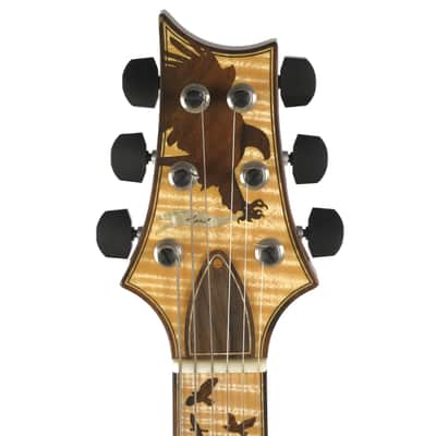 PRS Birds Of A Feather Private Stock Guitar Of The Month Owned by David Grissom image 6