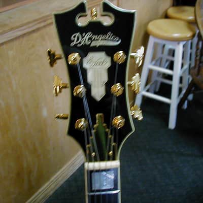 D'Angelico Excel EXL-1 Hollow Body Archtop 2010s - Vintage Sunburst image 15