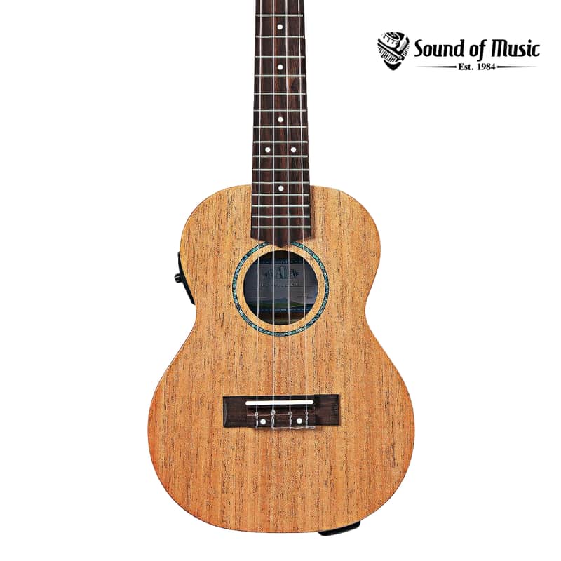 Kala James Hill Signature All Solid Mahogany Concert w/ Gig Bag & EQ image 1