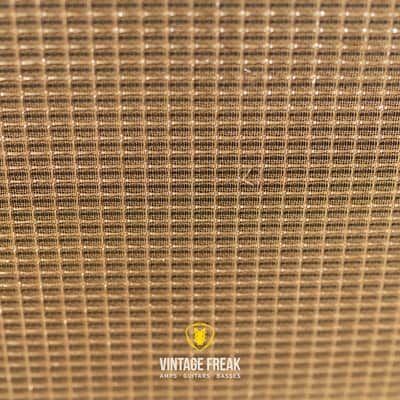 Fender Vibro Champ 1965 image 6