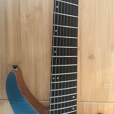 Agile Geodesic Multiscale 8 String 2019ish - Blue flame top image 3